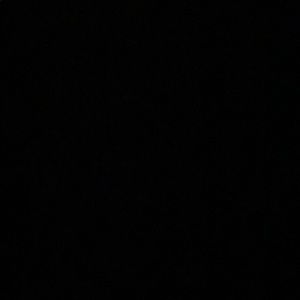 Meet your Posher, Daisy